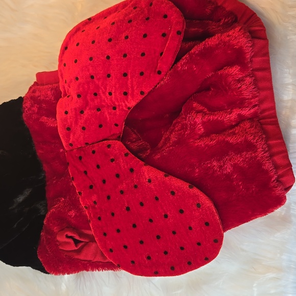 Lady bug 🐞 Costume - Picture 7 of 7